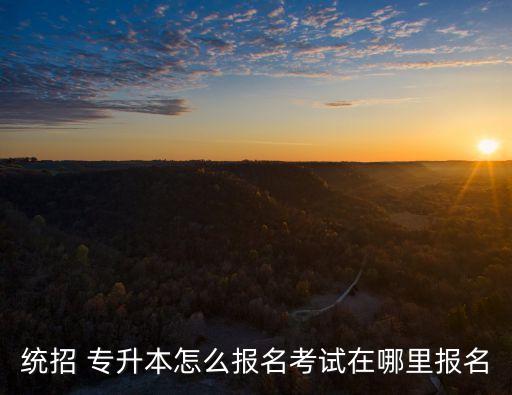 統(tǒng)招 專升本怎么報名考試在哪里報名