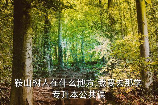  鞍山樹(shù)人在什么地方,我要去那學(xué) 專升本公共課