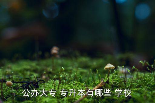 公辦大專 專升本有哪些 學(xué)校