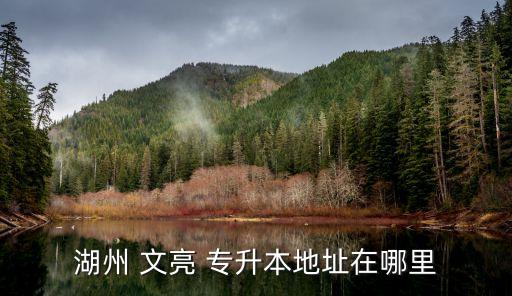 文亮專升本電話,建議先報(bào)本科再報(bào)?？?不要舉報(bào)浙江專升本