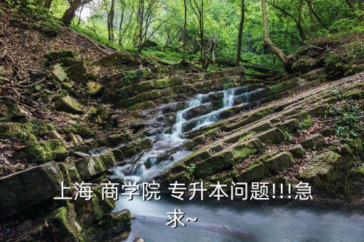  上海 商學院 專升本問題!!!急求~