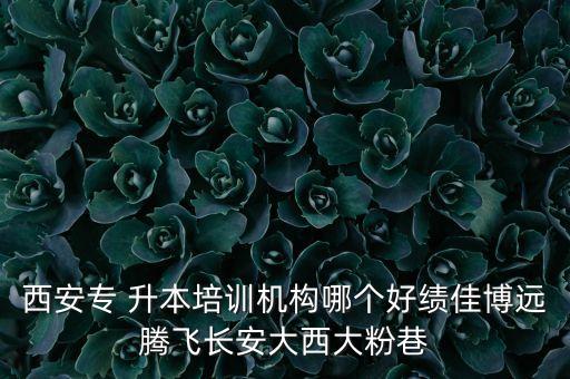 西大專升本補課學(xué)校,我是?？茖沤z建議報西北大學(xué)職業(yè)技術(shù)學(xué)院