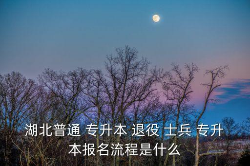 湖北省退役士兵專升本,退役士兵專升本報(bào)名流程如何?