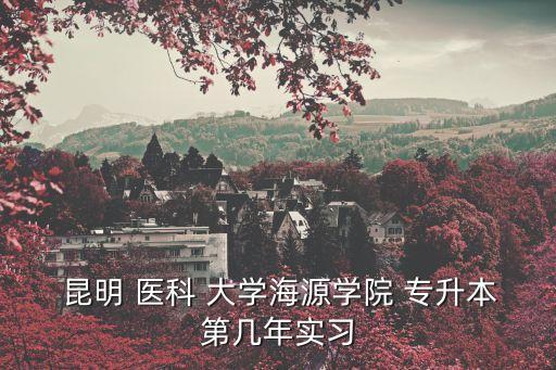  昆明 醫(yī)科 大學(xué)海源學(xué)院 專(zhuān)升本第幾年實(shí)習(xí)