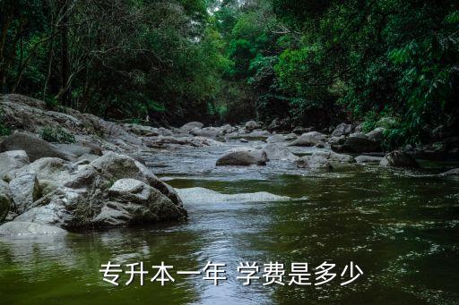  專升本一年 學(xué)費(fèi)是多少