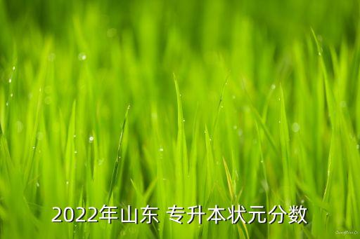 山東省專升本國貿(mào)分?jǐn)?shù)線,山東2022年專升本狀元390分