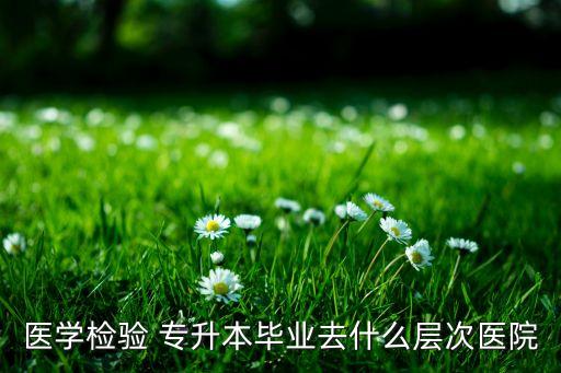 醫(yī)學(xué)檢驗 專升本畢業(yè)去什么層次醫(yī)院
