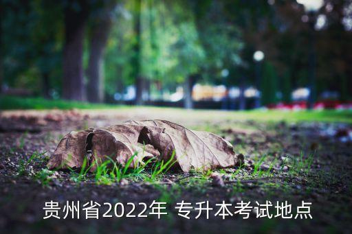 貴州專(zhuān)升本教育機(jī)構(gòu),貴州專(zhuān)升本考試分為文化考試和專(zhuān)業(yè)考試