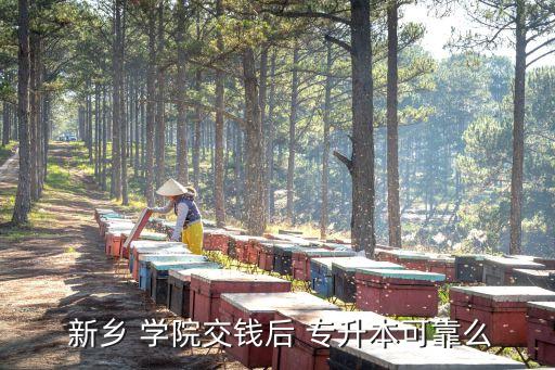  新鄉(xiāng) 學(xué)院交錢后 專升本可靠么