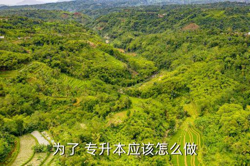 為了 專(zhuān)升本應(yīng)該怎么做