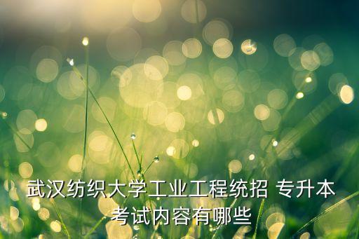  武漢紡織大學(xué)工業(yè)工程統(tǒng)招 專(zhuān)升本 考試內(nèi)容有哪些