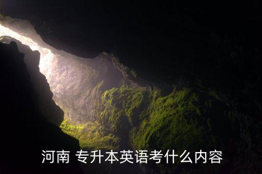 河南商英專升本考什么,文化科目考試只考英語并入各專業(yè)考試