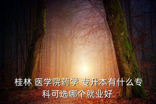  桂林 醫(yī)學院藥學 專升本有什么?？瓶蛇x哪個就業(yè)好
