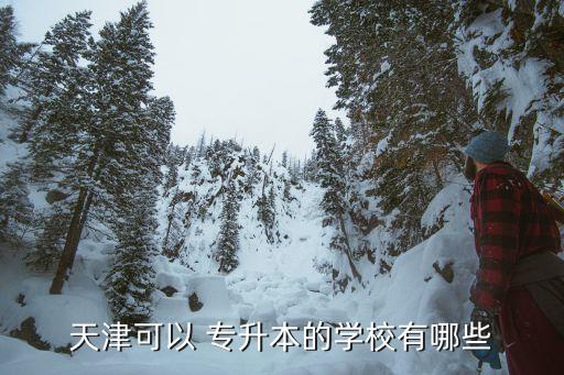 能專升本的飛行大學,四川英語專升本可報名考試天津美術學院