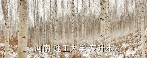  河南 理工大學 專升本