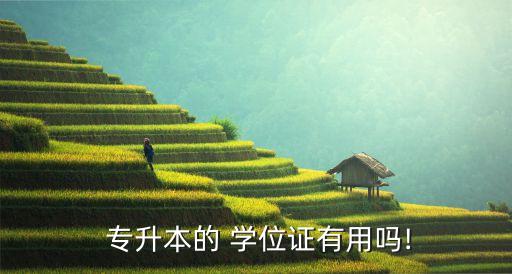  專(zhuān)升本的 學(xué)位證有用嗎!