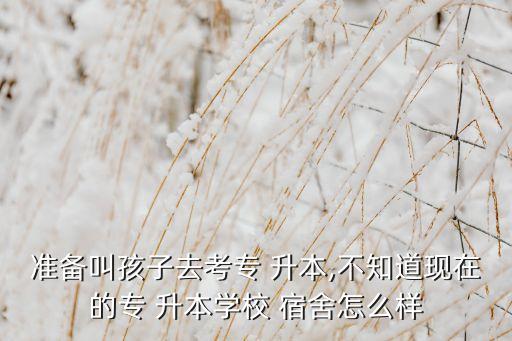 準備叫孩子去考專 升本,不知道現(xiàn)在的專 升本學校 宿舍怎么樣
