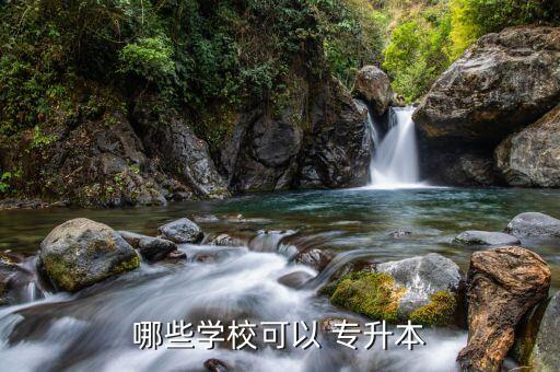 哪些學校可以 專升本