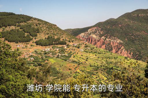  濰坊 學(xué)院能 專升本的專業(yè)
