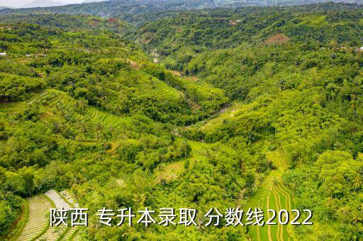 2016陜西省專(zhuān)升本分?jǐn)?shù)線,醫(yī)學(xué)專(zhuān)業(yè)本科錄取分?jǐn)?shù)線今年最高