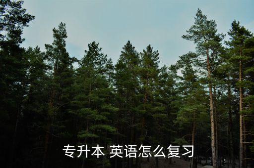  專(zhuān)升本 英語(yǔ)怎么復(fù)習(xí)