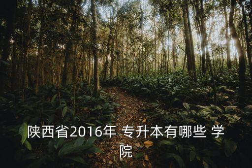 明德學院有專升本,2017年陜西專升本可升本的院校有哪些?