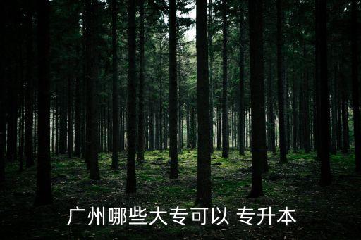  廣州哪些大?？梢?專升本
