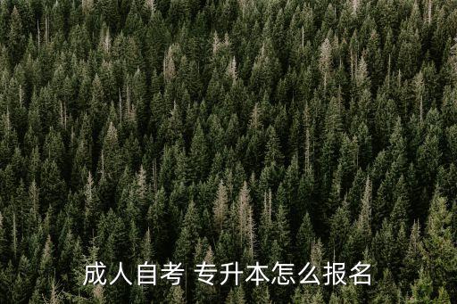 成人自考 專升本怎么報(bào)名