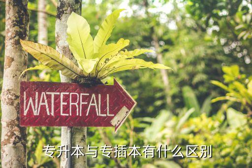 西藏專(zhuān)升本考試時(shí)間,成人高等教育專(zhuān)升本有幾種方式?