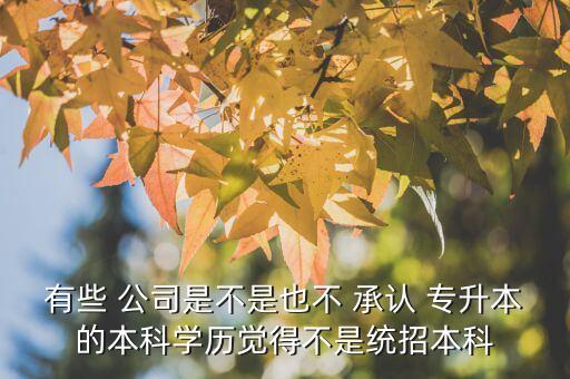 有些 公司是不是也不 承認(rèn) 專升本的本科學(xué)歷覺(jué)得不是統(tǒng)招本科
