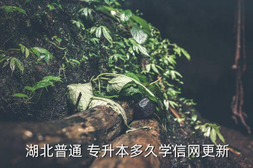  湖北普通 專升本多久學信網(wǎng)更新
