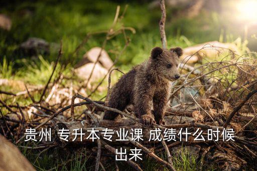  貴州 專升本專業(yè)課 成績什么時(shí)候出來