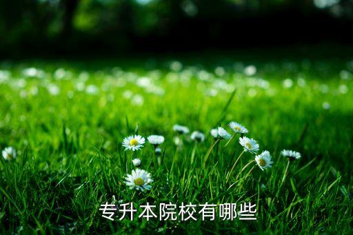 西昌學(xué)院跨校專(zhuān)升本,四川高等學(xué)府成考本科學(xué)校名單出爐