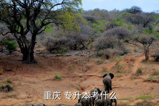 重慶地區(qū)專(zhuān)升本,重慶統(tǒng)招專(zhuān)升本考試成績(jī):考試錄取難度大