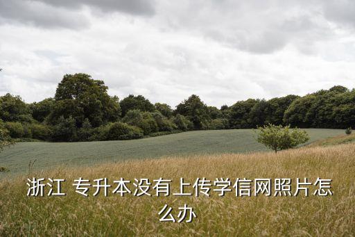  浙江 專升本沒有上傳學(xué)信網(wǎng)照片怎么辦