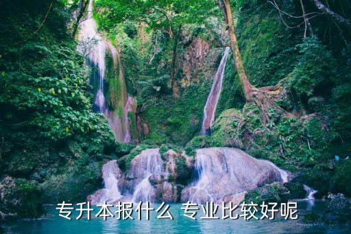 學什么專業(yè)專升本最好,中文系專業(yè)的學生就業(yè)情況比較好