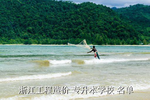  浙江工程造價(jià) 專(zhuān)升本學(xué)校 名單