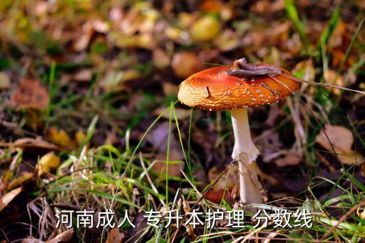 河南專(zhuān)升本大學(xué)分?jǐn)?shù)線(xiàn),河南工程學(xué)院專(zhuān)升本最低錄取分?jǐn)?shù)線(xiàn)公布