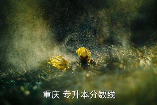  重慶 專升本分數(shù)線