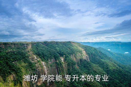  濰坊 學(xué)院能 專(zhuān)升本的專(zhuān)業(yè)