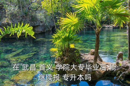 武昌首義學(xué)院專升本專業(yè),武漢1、武昌首義學(xué)院有自考本科