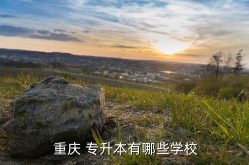 重慶專(zhuān)升本科院,重慶專(zhuān)升本地學(xué)府名單出爐!