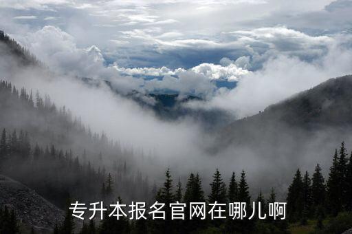  專升本報名官網(wǎng)在哪兒啊