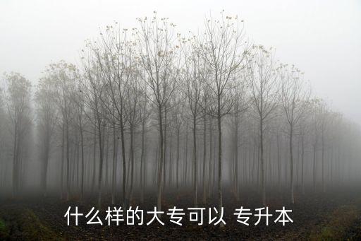 什么樣的大?？梢?專升本