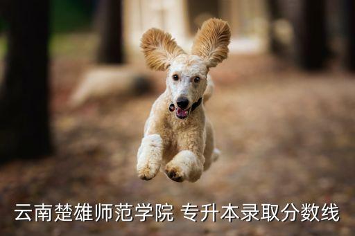 云南楚雄師范學(xué)院 專(zhuān)升本錄取分?jǐn)?shù)線