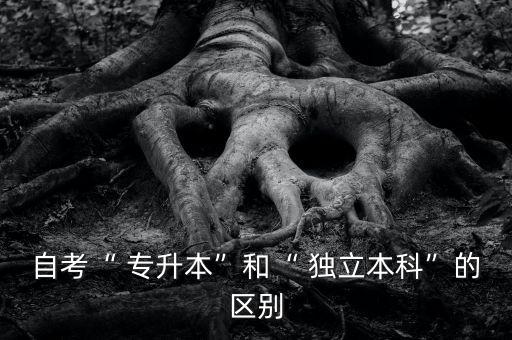 自考“ 專(zhuān)升本”和“ 獨(dú)立本科”的區(qū)別