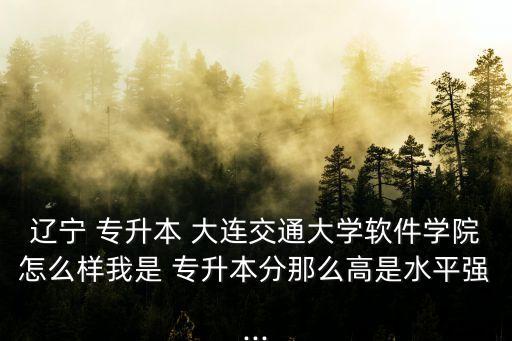 專升本考大連交大,四級(jí)沒(méi)考過(guò)就趕緊考過(guò)不然拿不到學(xué)位證