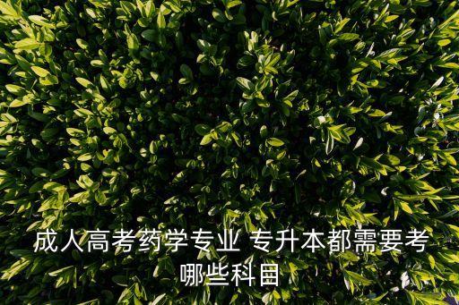  成人高考藥學專業(yè) 專升本都需要考哪些科目