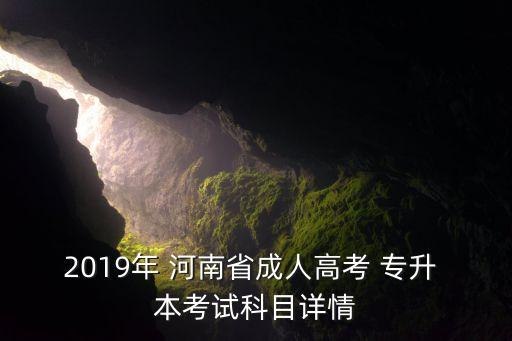 2019年 河南省成人高考 專(zhuān)升 本考試科目詳情