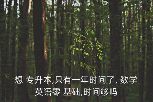 想 專升本,只有一年時間了, 數(shù)學英語零 基礎,時間夠嗎